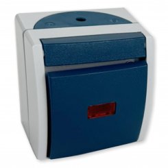 Busch-Jaeger 2601/6 SKW-53 Kontroll-WS+Glimmlampe, grau/blaugrün 