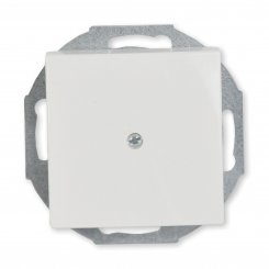 Busch-Jaeger Zentralscheibe für Leitungsauslass mit Tragring, alpinweiss, 2527-914, Balance SI 