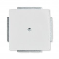 Busch-Jaeger Zentralscheibe für Blindabdeckung mit Tragring, studioweiss, 1742-84, future® linear 