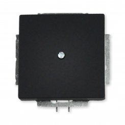 Busch-Jaeger Zentralscheibe für Blindabdeckung mit Tragring, schwarz matt, 1742-885, future® linear 