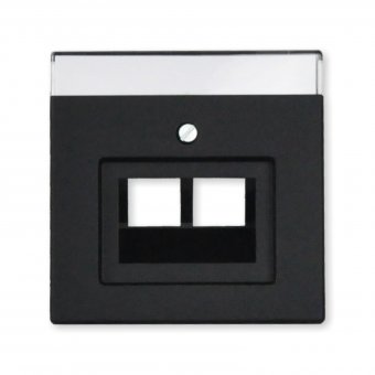 Busch-Jaeger Zentralscheibe für UAE/IAE/ISDN 2-fach, schwarz matt, 1803-02-885, future® linear 