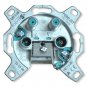 morepic-1